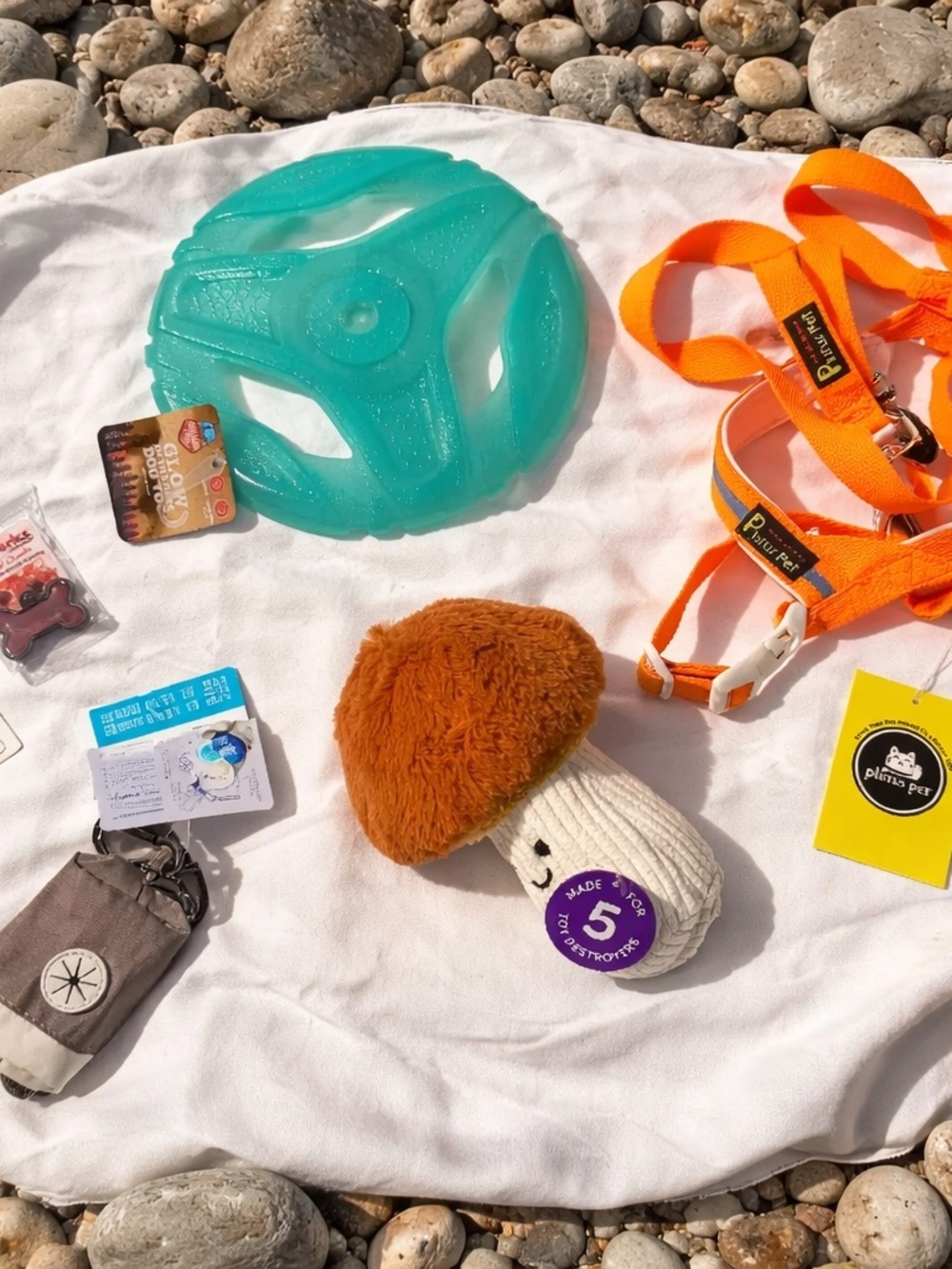 Plenus Pet Orange Dog Leash and Harness Set (Various) Frisbee Dog Tag, Etc NWT